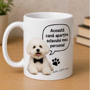 Cana personalizata "Sclavul meu personal" - cu poza si nume