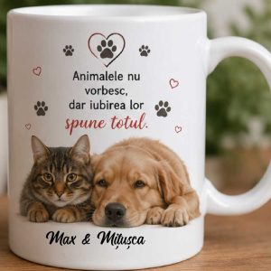 Cana personalizata "Iubirea lor spune totul..." - cu poza si nume